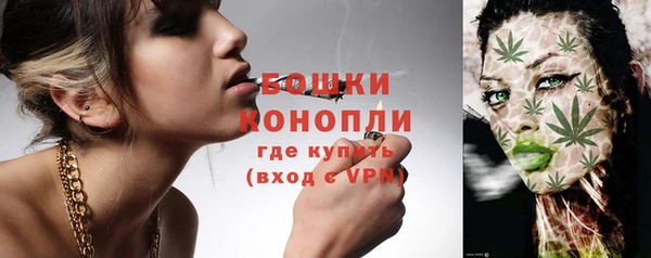 ГАЛЛЮЦИНОГЕННЫЕ ГРИБЫ Богданович