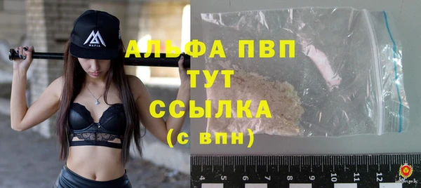 ГАЛЛЮЦИНОГЕННЫЕ ГРИБЫ Богданович