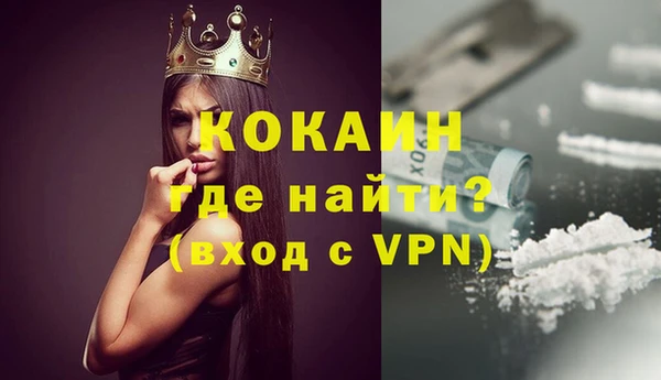 ГАЛЛЮЦИНОГЕННЫЕ ГРИБЫ Богданович