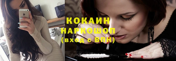 ГАЛЛЮЦИНОГЕННЫЕ ГРИБЫ Богданович