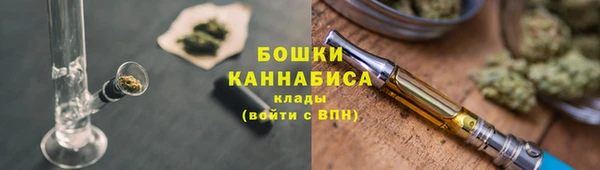 ГАЛЛЮЦИНОГЕННЫЕ ГРИБЫ Богданович