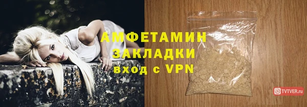 ГАЛЛЮЦИНОГЕННЫЕ ГРИБЫ Богданович